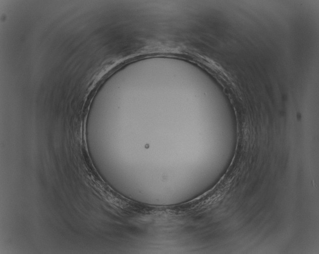 X0000062611220200601111000