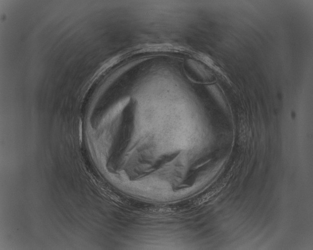 X0000062611221200601111000