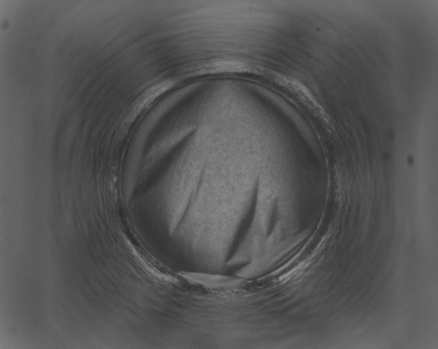 X0000062611225200601111000