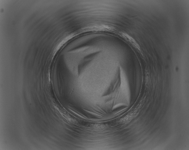 X0000062611226200601111000