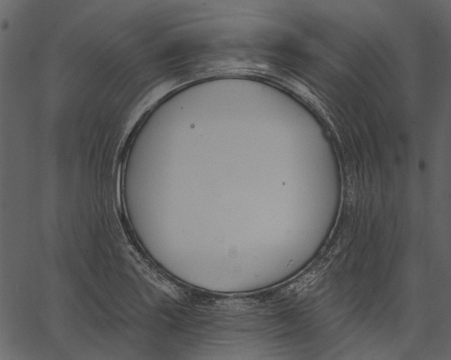 X0000062611227200601111000