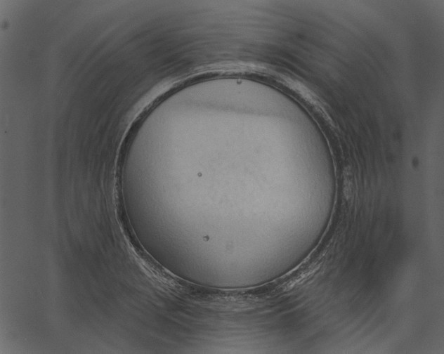 X0000062611229200601111000