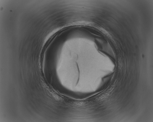 X0000062611230200601111000