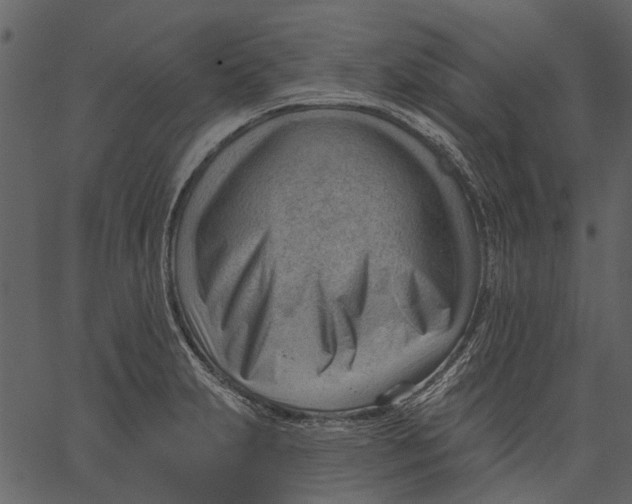 X0000062611231200601111000