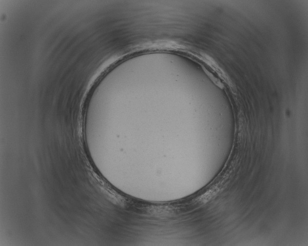 X0000062611232200601111000