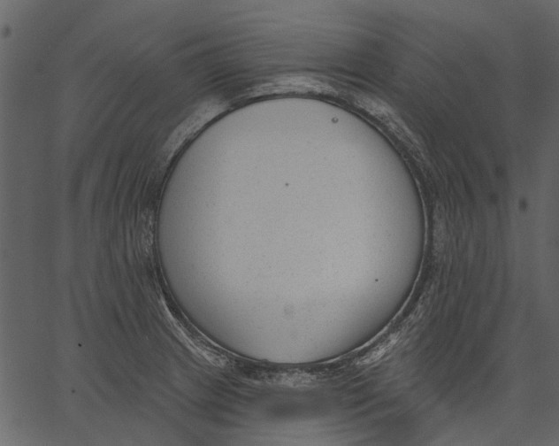 X0000062611233200601111000