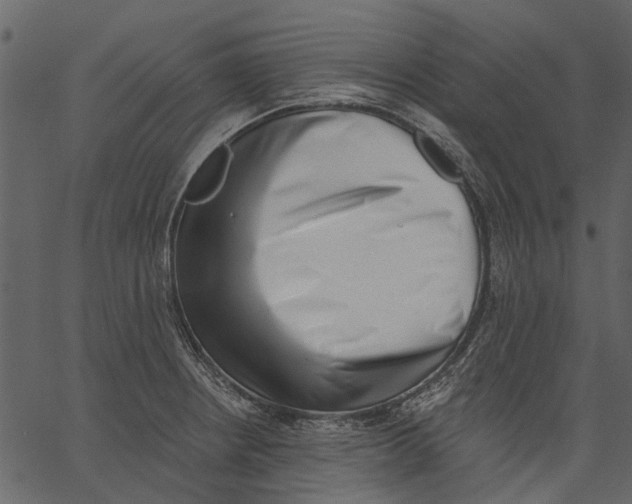 X0000062611234200601111000