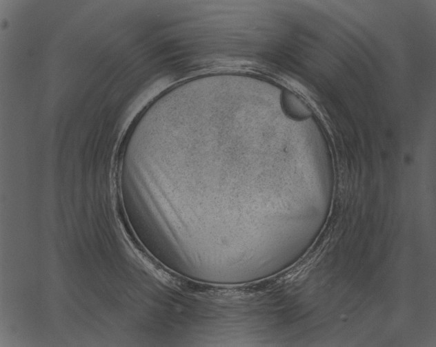 X0000062611235200601111000