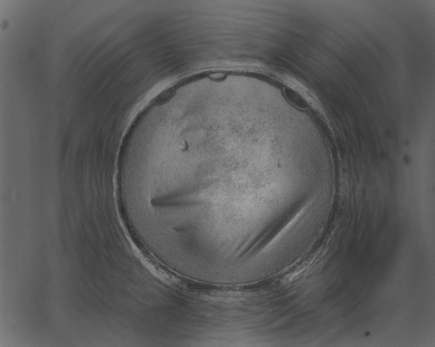 X0000062611237200601111000