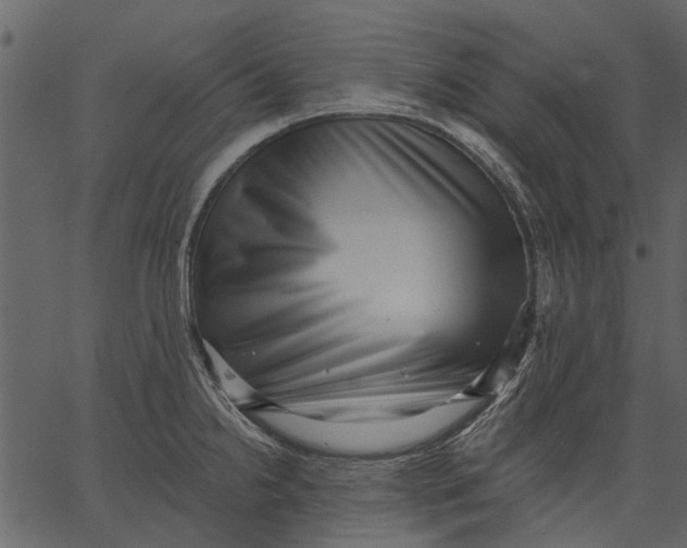 X0000062611238200601111000