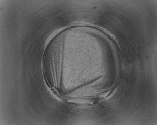 X0000062611239200601111000