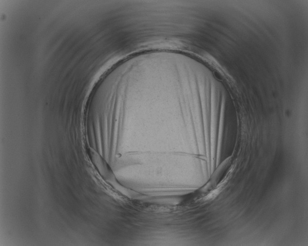 X0000062611240200601111000