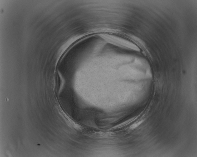 X0000062611244200601111000