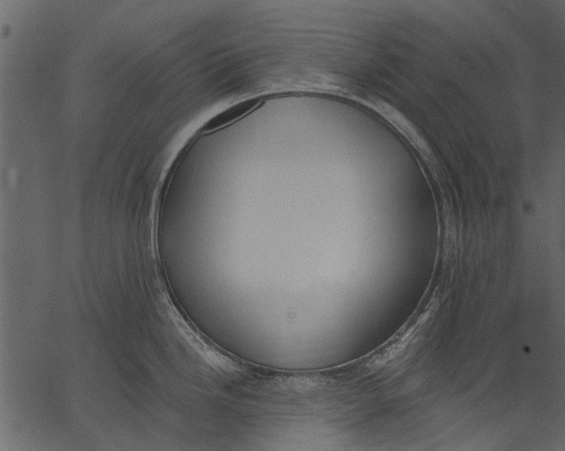 X0000062611246200601111000