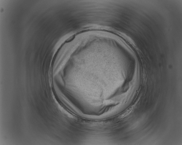 X0000062611247200601111000