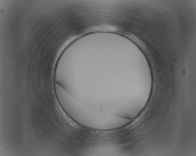 X0000062611248200601111000