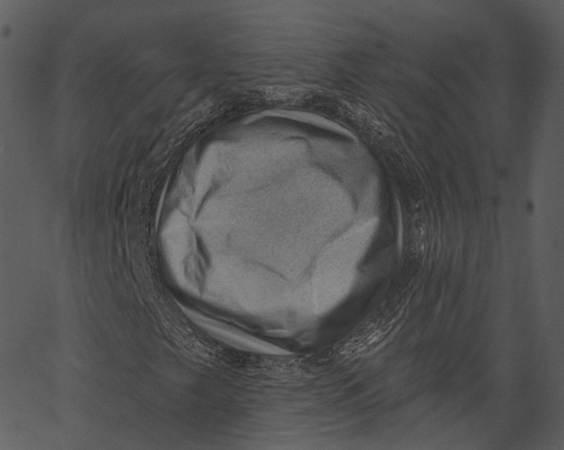 X0000062611249200601110959