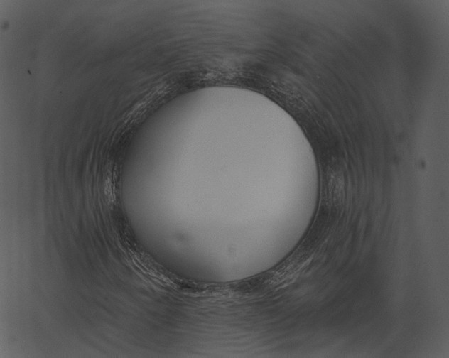 X0000062611250200601110959