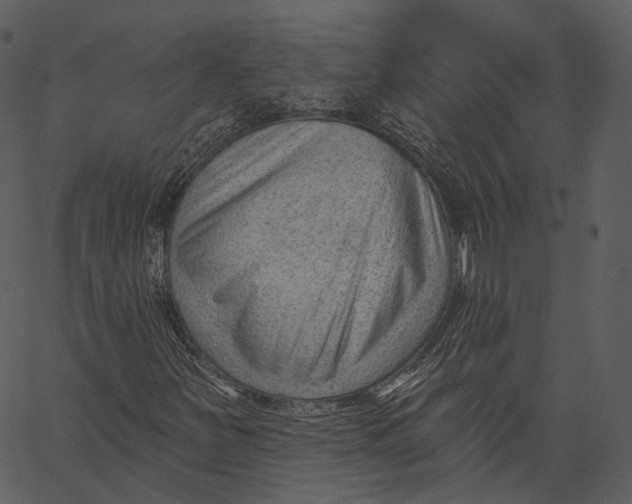 X0000062611251200601110959