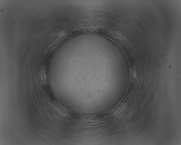 X0000062611252200601110959