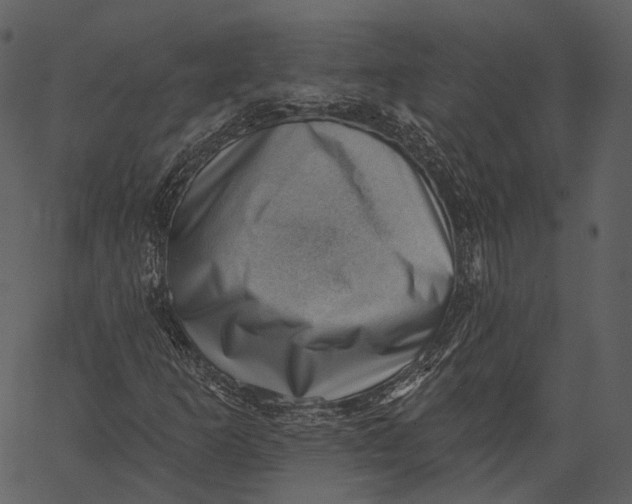 X0000062611253200601110959