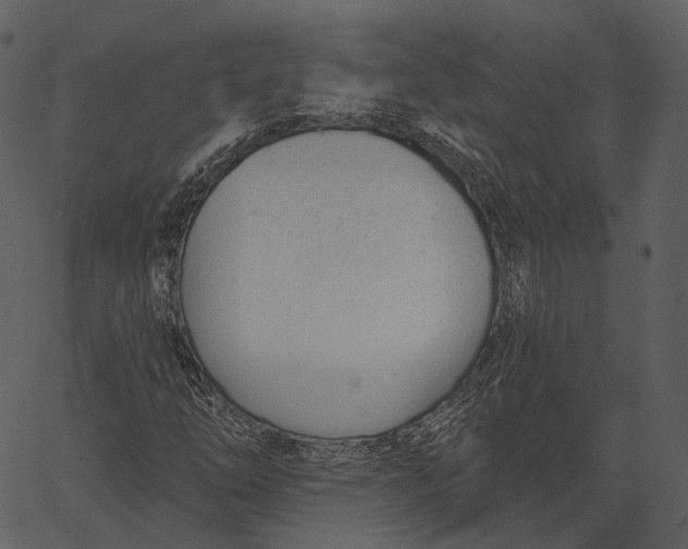 X0000062611254200601110959