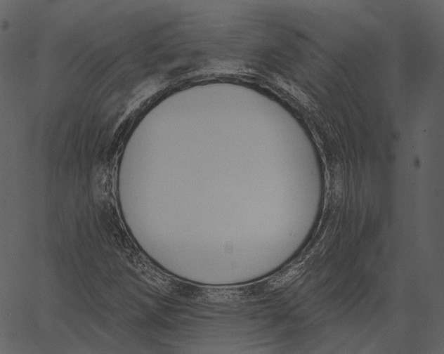 X0000062611258200601110959