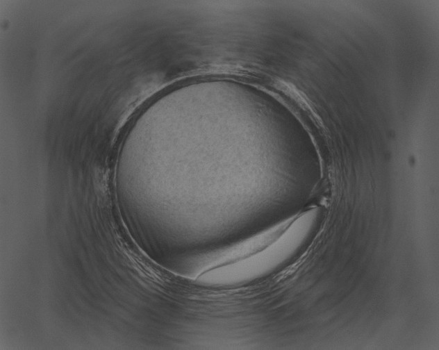 X0000062611260200601110959