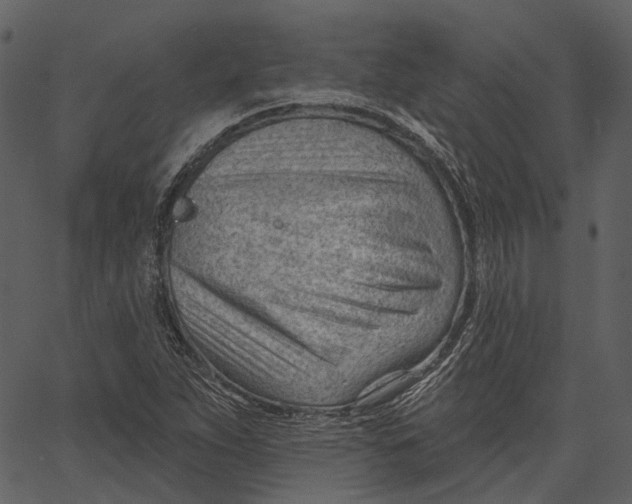 X0000062611263200601110959