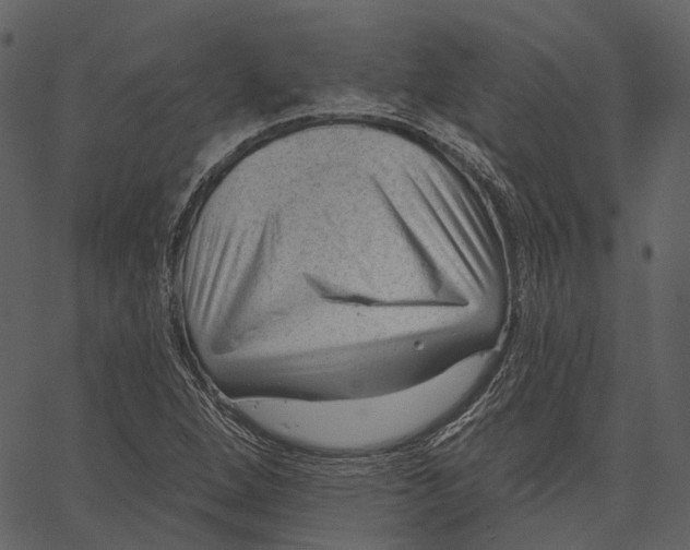 X0000062611264200601110959