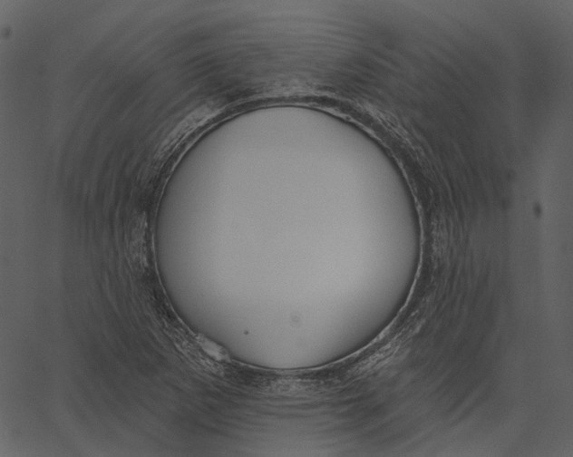 X0000062611265200601110959