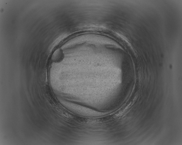 X0000062611267200601110959