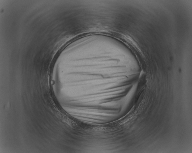 X0000062611268200601110959