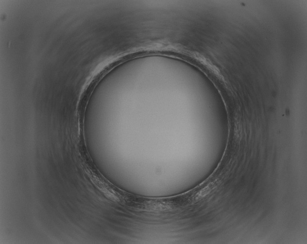 X0000062611270200601110959