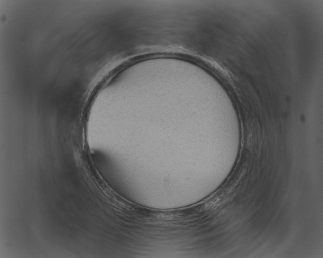 X0000062611271200601110959