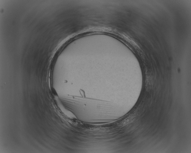 X0000062611272200601110959