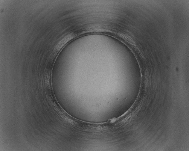 X0000062611273200601110959