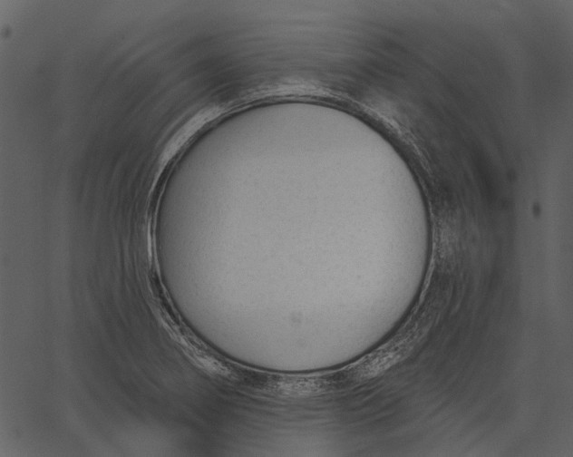 X0000062611274200601110959