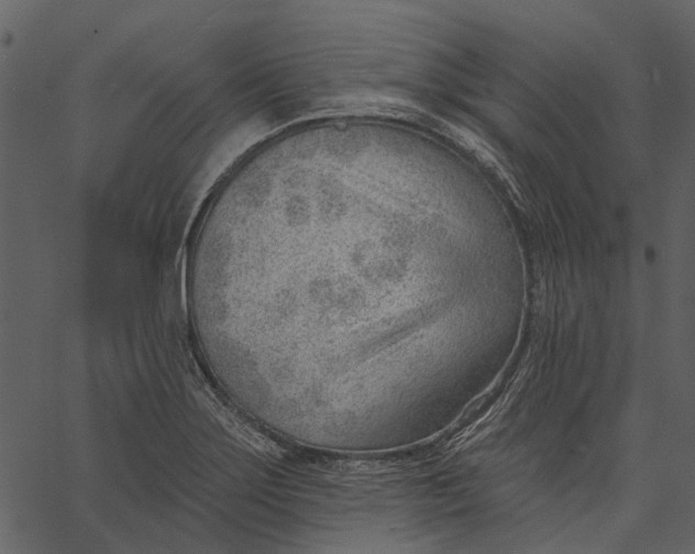 X0000062611275200601110959