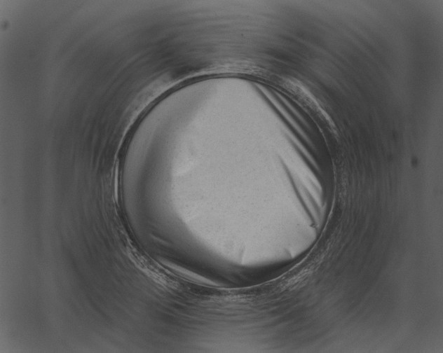 X0000062611276200601110959