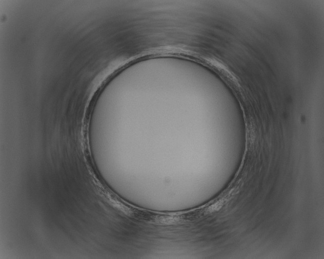 X0000062611278200601110959