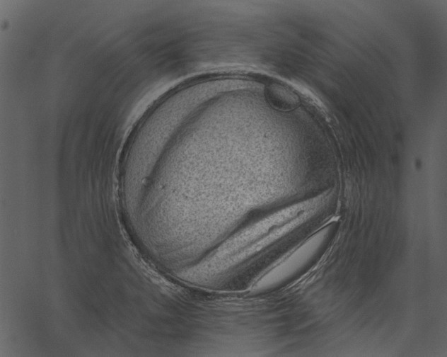 X0000062611279200601110959