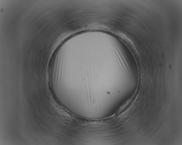 X0000062611280200601110959