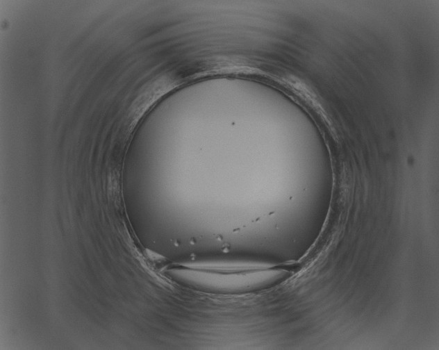 X0000062611281200601110959