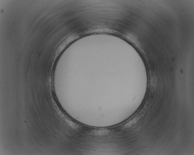 X0000062611282200601110959