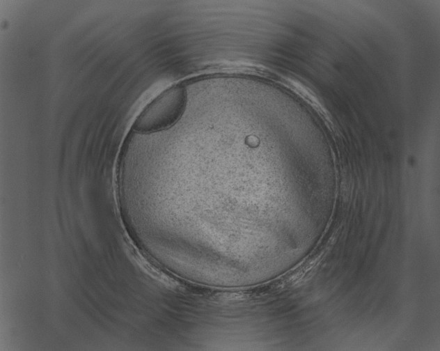 X0000062611283200601110959