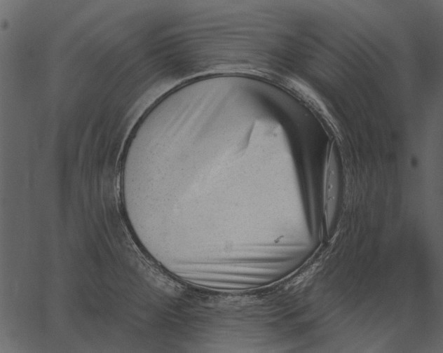 X0000062611284200601110959