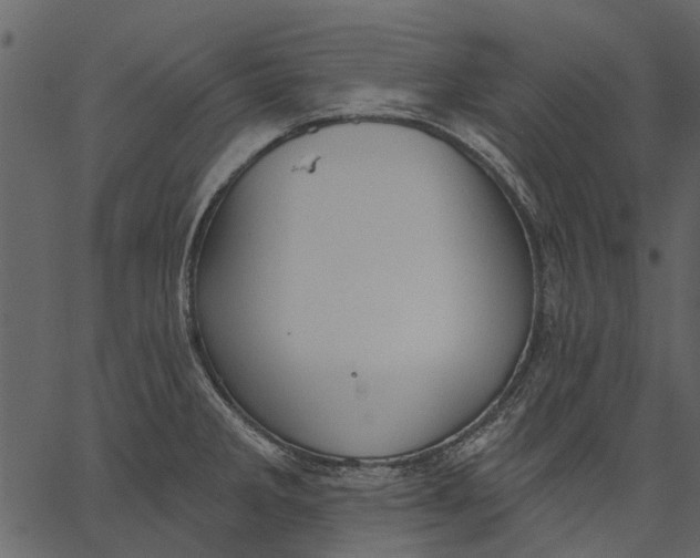 X0000062611285200601110959