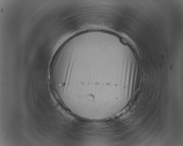 X0000062611287200601110959