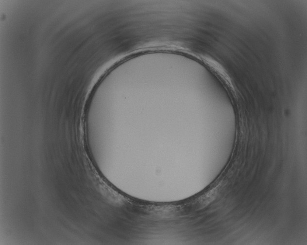 X0000062611288200601110959